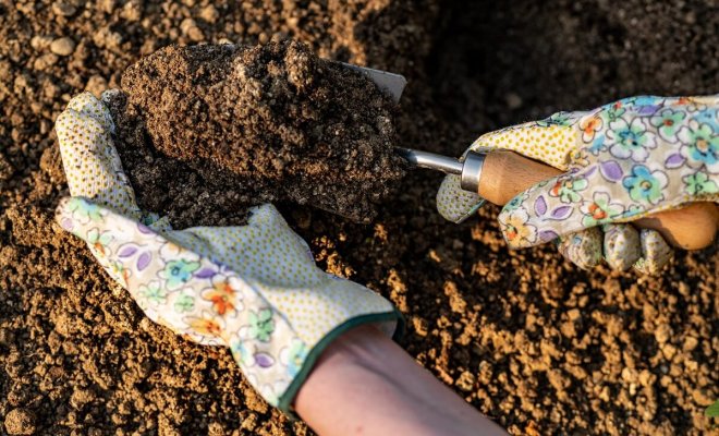 : Как сделать почву мягкой и легкой
