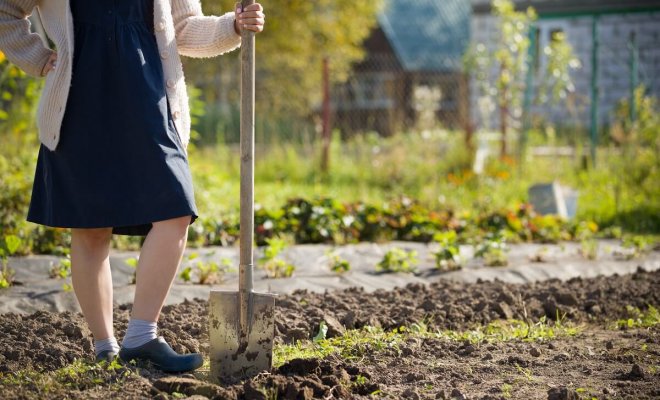 : Как повысить плодородие почвы