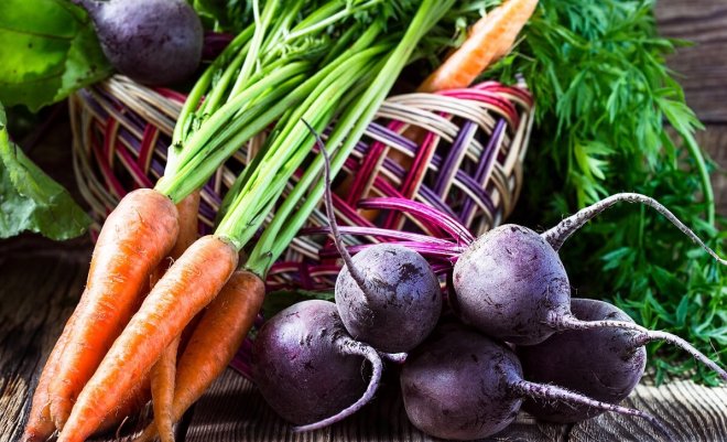Как правильно хранить свеклу и морковь