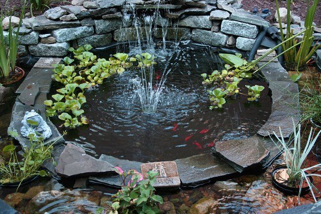 Запустить в маленький пруд рыбок и построить фонтан - что может быть красивее
