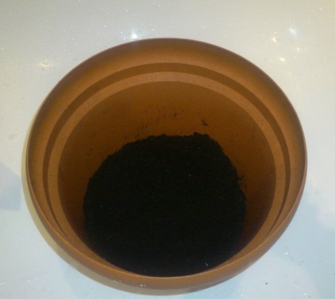 Почва в горшке для пересадки кипариса