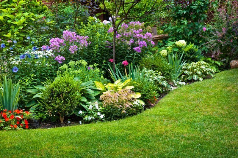 Идеи вариантов планировки кустарников в саду