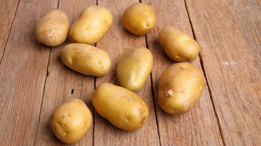 Сорта картофеля, устойчивые к фитофторе и повышенной влажности земли