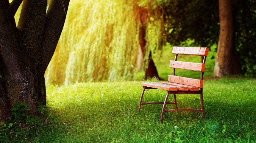 : Lonely wooden bench covered with sunbeams is on the grass in shade under tree, in park in summertime. Tinting image. Concept of loneliness and waiting