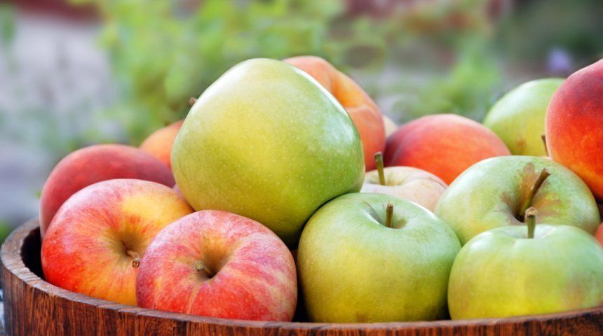 Ранние летние яблоки – самые вкусные сорта