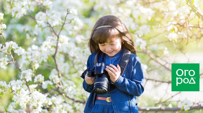 : как красиво и правильно фотографировать цветы