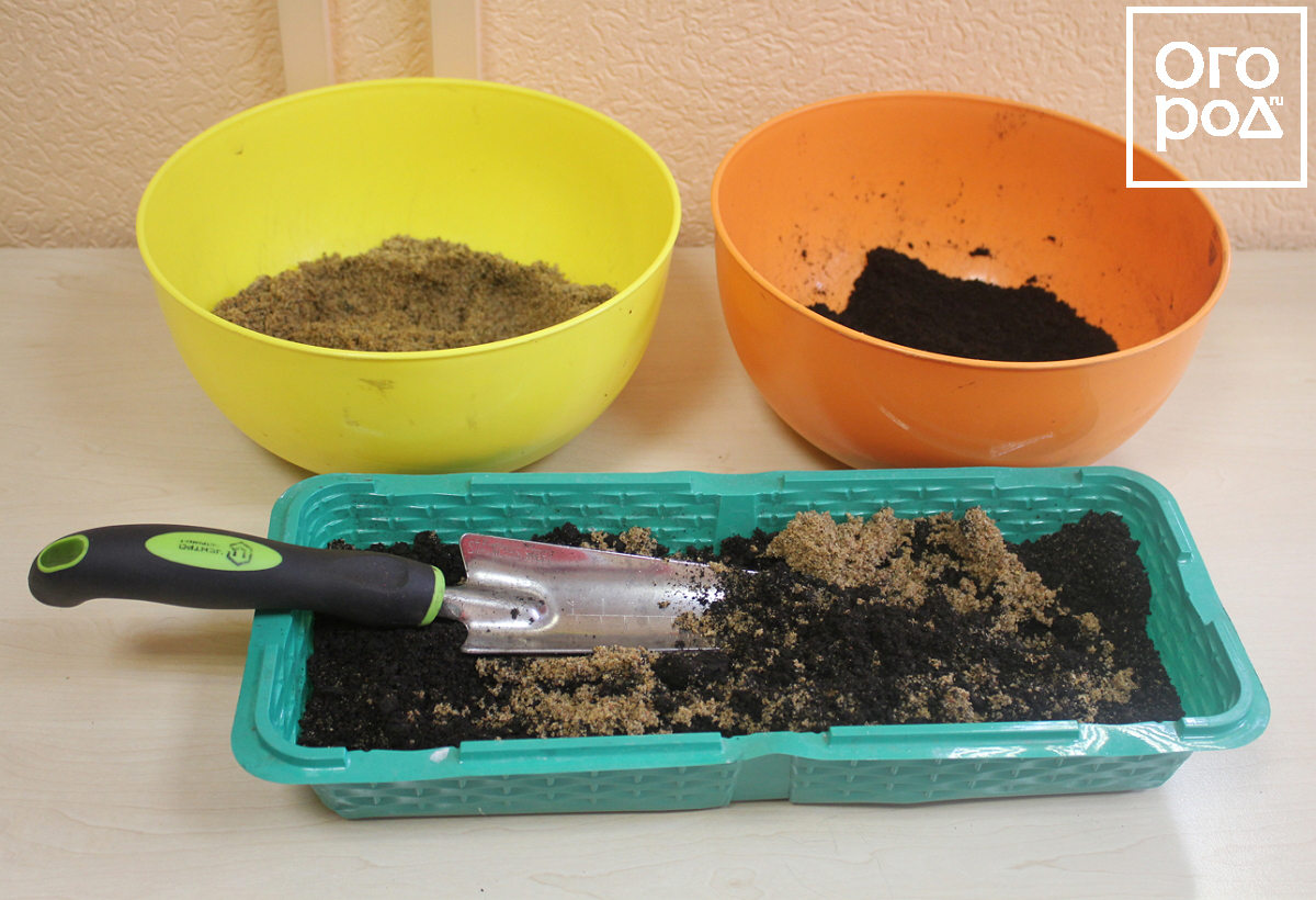 Подготовка почвосмеси для черенков гортензии